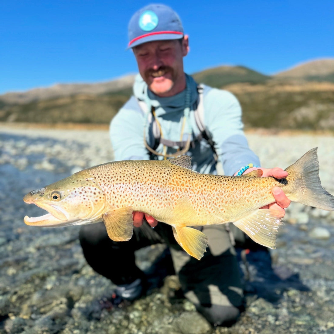 Fall is prime time for big brown trout
