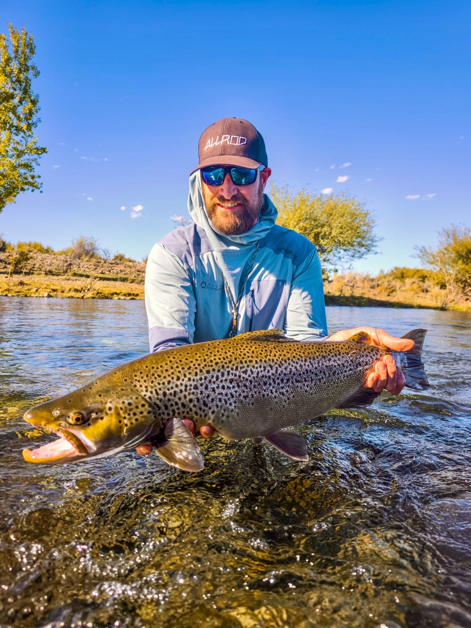 Monster Brown Trout on the Limay River in Argentina