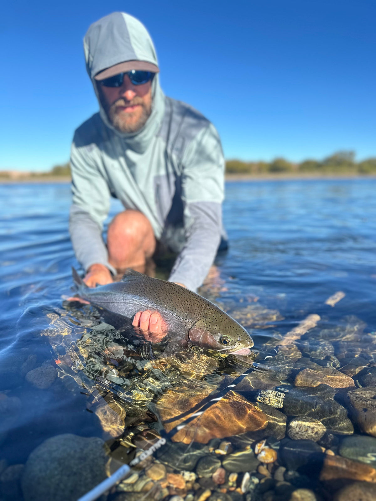 Bunny Leech Fly Pattern: A Proven Swung Fly for Steelhead, Salmon and Trout
