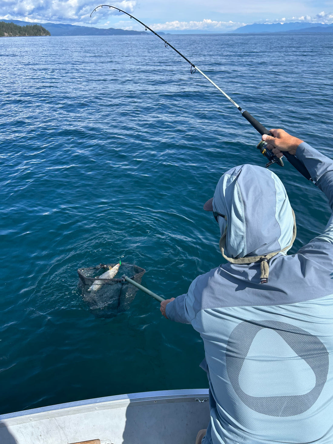 netting a whitefish in Flathead Lake, MT