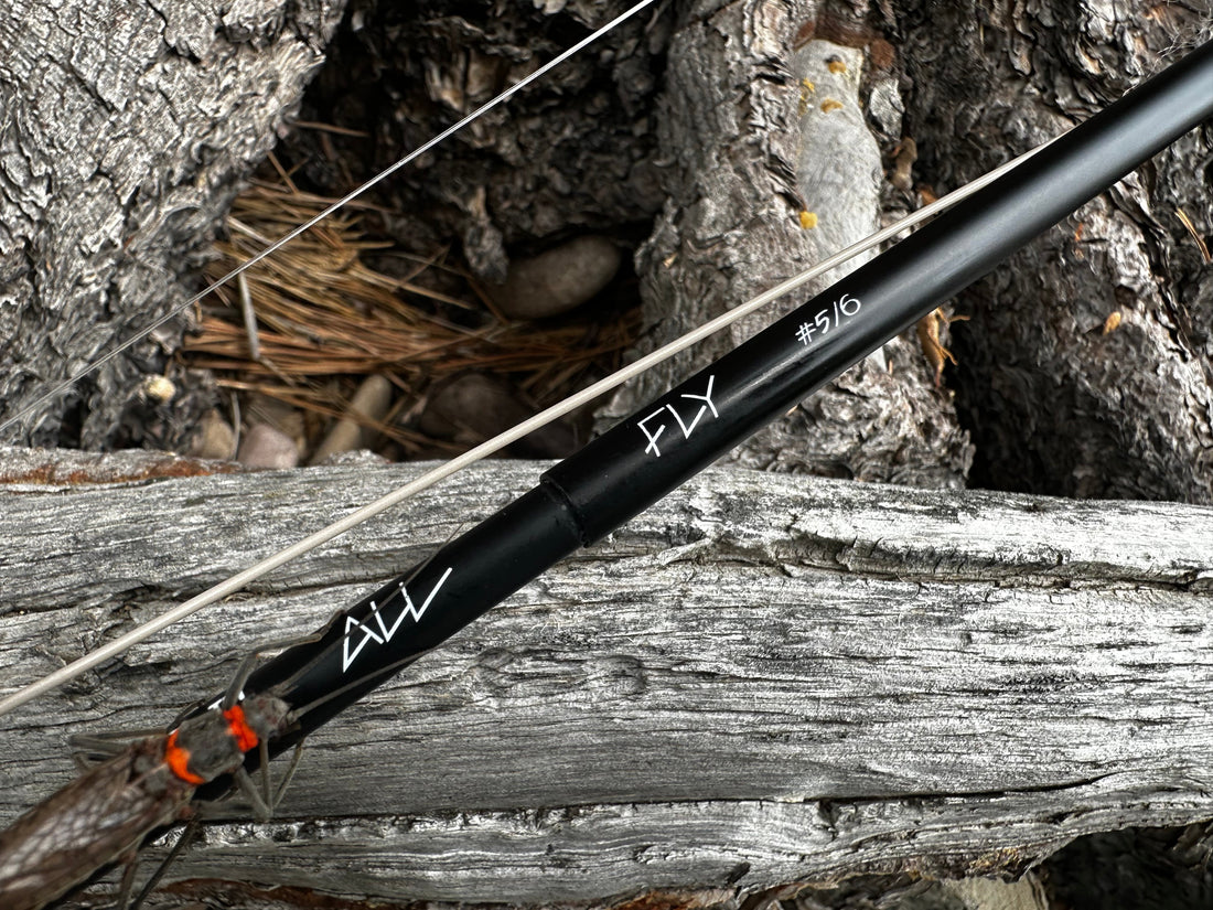 The Salmonfly Hall of Fame: Must-Have Patterns for Summer Fly Fishing