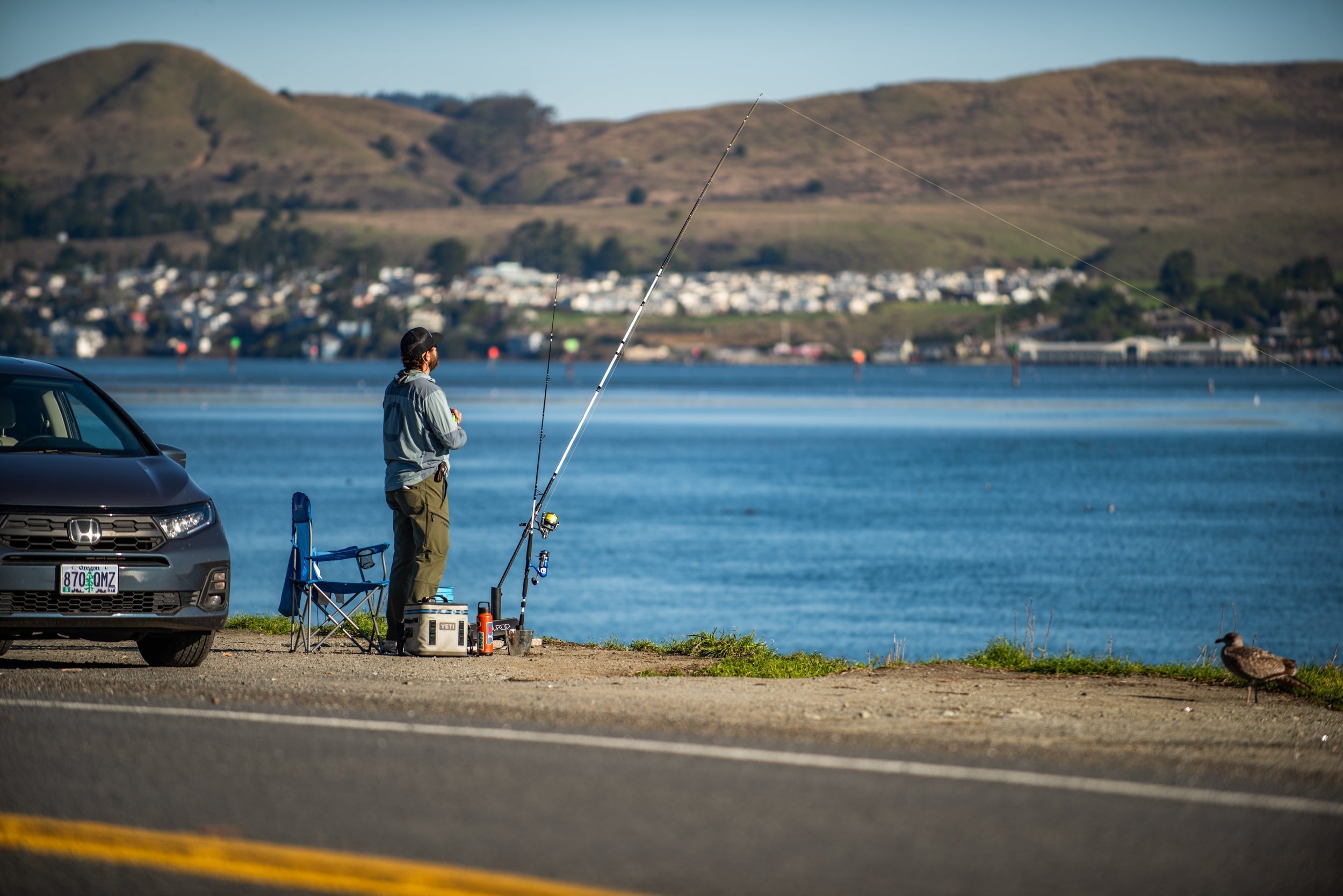 How to Catch Dungeness Crab from Shore Using a Crab Snare